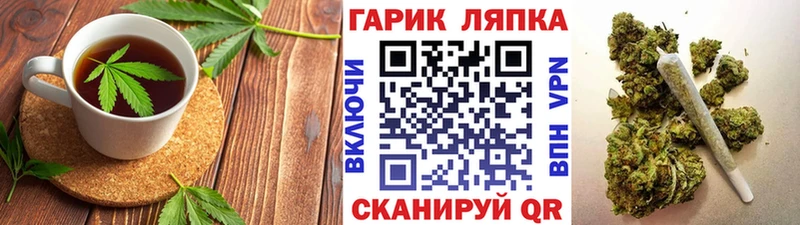 Купить закладки  Заводоуковск  Canna-Cookies конопля 