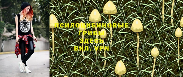мескалин Инсар