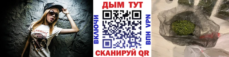 Шишки марихуана сатива  Купить закладки  Заводоуковск 